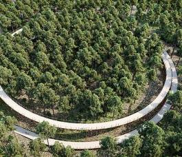 Aanbesteding van de bouw van een fietsbrug in Belgisch Limburg