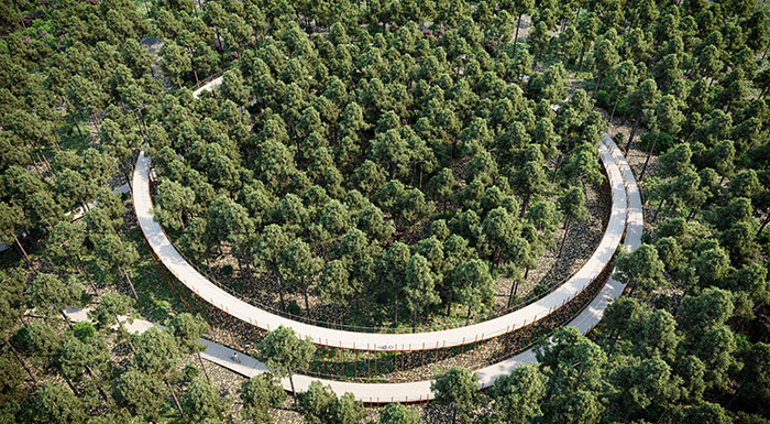 Fietsen door de bomen render bovenzicht